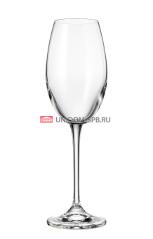 Набор бокалов 6 пр. для вина FULICA 300мл     (1)     38046